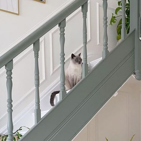 Pigeon Farrow And Ball Stairs, Green Stair Banister, Paint Colours For Hall Stairs And Landing, Grey Staircase Ideas, Stairs And Landing Colour Schemes, Green Bannister Rail, Green Painted Staircase, Green And Grey Hallway, Farrow And Ball Pigeon Hallway