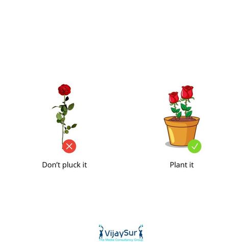 Have an eco-friendly Rose Day 🙂 "can be celebrated by singles too" 😉 #Roseday #Vijaysur #mediaconsultancy #mediaagency #agency #planttree #Roseday2022 #valentinesweek #Valentineday #Topicalpost #creatorspot #creativespot #creativeads #minimal Rose Day Creative Ads, Rose Day, Valentine's Week, Creative Posters, Creative Ads, Trees To Plant, Art Wallpaper, Eco Friendly, The Creator