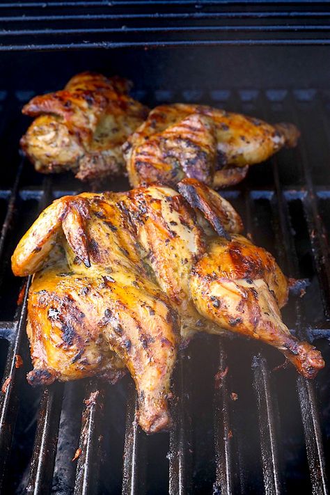 Grilled Cornish Game Hens Recipes, Grilled Cornish Hen Recipe, Grilled Cornish Game Hen Recipes, Cornish Hen Recipe Grilled, Smoked Cornish Hens, Grilled Cornish Hens, Grilled Potato Wedges, Cornish Game Hen Recipes, Smoked Turkey Wings