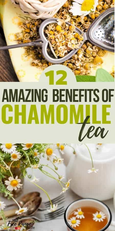 12 Amazing Chamomile Tea Benefits for Your Health Camomile Tea Benefits Health, Benefits Of Chamomile Tea, Benefits Of Chamomile, Chamomile Tea Benefits, Teas To Drink, Tea For Health, Ginger Tea Benefits, Health Benefits Of Tea, Carrot Benefits