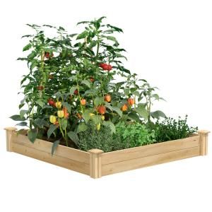 CITY PICKERS 24.5 in. x 20.5 in. Patio Raised Garden Bed Kit with Watering System and Casters in Limey Green - 2343-1HD - The Home Depot Wood Raised Garden Bed, Cedar Raised Garden Beds, Garden Frame, Garden Kits, Garden Bed, Garden Spaces, Raised Beds, Planter Boxes, Growing Vegetables