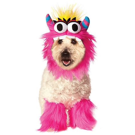 Cookie Monster Costume, Pink Monster, Sock Monster, Pet Monsters, Monster Costumes, Monster Face, Dog Halloween Costumes, Halloween Monster, Monster Party