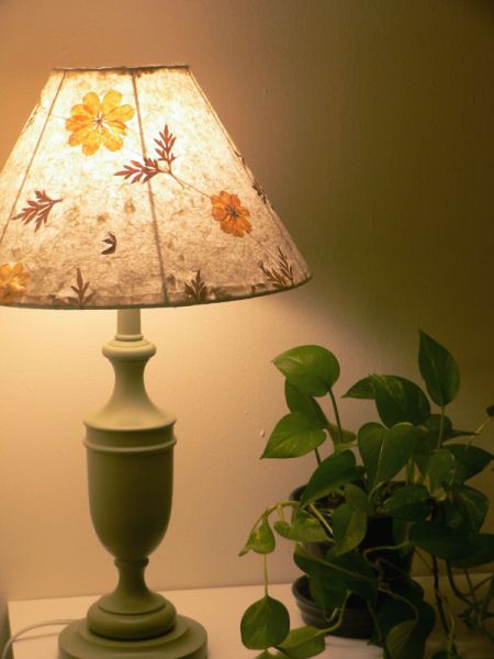 Redo - lamp shade with leaves - great look...not crazy about the base...needs work or replacing!  Just my taste! Cute Lampshades Bedrooms, Fall Lamp Shades, Pressed Flower Lampshade Diy, Homemade Lamp Shades Paper, Lamp Shades For Bedroom, Lamp Shade Aesthetic, Cottagecore Lampshade, Lamp Shade Vintage, Cute Lampshade