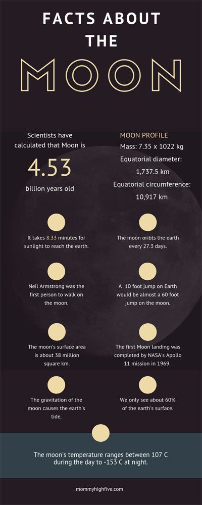 Moon Infographic, Facts About The Moon, Facts Infographic, Moon Facts, Infographic Layout, Astronomy Facts, Science Fact, Astronomy Science, Moon Luna