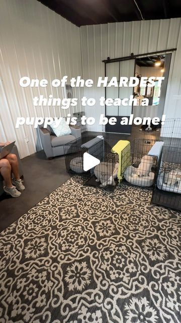 Kim Paciotti Puppy Training Specialist CPDT-KA on Instagram: "⭐️⭐️NOTE⭐️⭐️
For all of you that don’t like crates I UNDERSTAND!  Here in the US crates are more readily used than other countries. I personally am not a big fan HOWEVER I must teach people about them and how to HELP their puppy adjust. Please respect that and keep the nasty comments away. Thank you. 

➡️➡️Daytime Crate Training

✅Puppies hate to be alone and one of the hardest things new families face is leaving the puppy in the crate. 

✅The best advice I can give is it takes practice over and over from day one. 

➡️Many have the misconception bringing an 8’week puppy home they can stay in a crate for a few hours within a week or two. Try about 15
minutes not hours. Even a 12-15 week old pup may only give you an hour. 

1️⃣. H Bringing A Puppy Home, Puppy Playpen Setup, Training Specialist, Training Puppies, Puppy Playpen, Puppy Litter, Crate Training Puppy, Crate Training, Best Advice