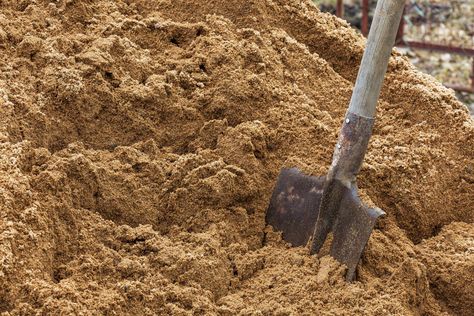 What To Know About Sandy Soil for Your Garden Planting In Sandy Soil, Building Sand, Dog Washing Station, Porch Addition, Sandy Soil, Grain Of Sand, Clay Soil, Peat Moss, Gardening Advice