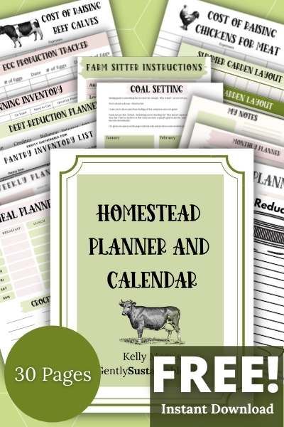 Homestead Planner, Sustainable Homestead, Homestead Farm, Long Term Food Storage, Homesteading Skills, Meals In A Jar, Hobby Farms, Off Grid Living, White Bread