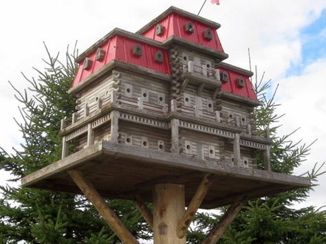 Canadian builder John Looser builds massive bird mansions, some of which can accommodate hundreds of birds and feature fly-through tunnels and pools. The largest of his creations are over nine feet wide and eight feet tall, with one that has 103 rooms and weighs over 500 pounds. Looser sells his houses and birdhouse plans at ExtremeBirdhouse.com. Mansion Plans, Garden Birdhouses, Rustic Birdhouse, Bird House Plans, Unique Bird Houses, Bird House Kits, Bird Aviary, Birdhouse Designs, Decorative Bird Houses