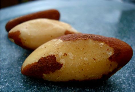 Brazil nuts aren't just for snacking. These thyroid-boosting nuts go a long way in helping you create all kinds of dairy-free dishes and beverages! Here are 4 ideas! Brazil Nuts Benefits, Brazilian Nuts, Food Remedies, Benefits Of Vitamin E, Healthy Nuts, Brazil Nuts, Raw Coconut, Nut Recipes, Green Planet