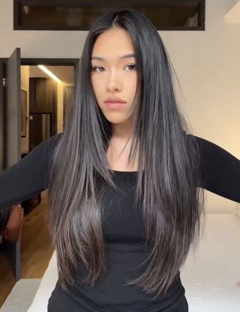 Long Dark Hair Layers Straight, Long Layer Straight Haircut, Face Frame Long Hair Straight, Face Frame Layers Straight Hair, Straight Black Layered Hair, Long Haircuts Asian, Long Hair Short Layers Straight, Soft Front Layers Long Hair, Contour Layers Long Hair