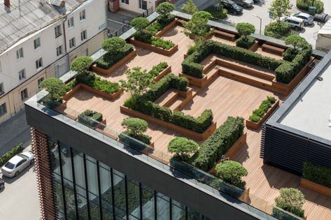 Rooftop Garden Urban, Roof Top Garden, Roof Garden Design, Green Terrace, Rooftop Design, Roof Architecture, Building Roof, Architecture Building Design, Landscape Architecture Design