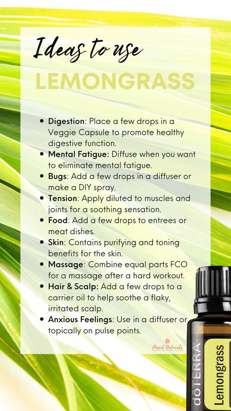 ideas to use lemongrass essential oil Essential Oils Lemongrass Uses, Benefits Of Lemongrass Essential Oil, Lemon Grass Oil Benefits, Lemon Grass Essential Oil Benefits, Lemongrass Diffuser Blend, Lemongrass Essential Oil Recipes, Lemongrass Oil Benefits, Lemongrass Benefits, Lemongrass Essential Oil Benefits