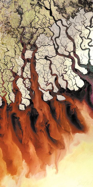 Aerial photography drone : GANGES RIVER DELTA (India): Print only and ready to hang pieces of Monsoon Spirit of the Tiger by satellite image artist Stuart Black Africa Nature, Ganges River, Aerial Photography Drone, River Delta, Aerial Images, Satellite Image, Drone Photos, Arte Inspo, Aerial Photo