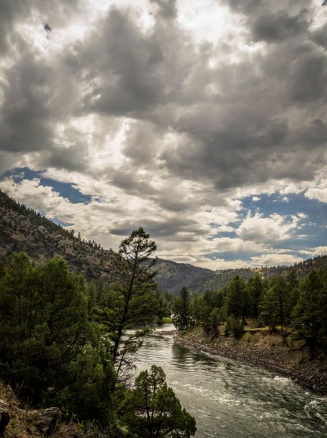 Discover the breathtaking beauty where the Yellowstone River meanders through the stunning MT/WY border in Yellowstone National Park! 🌲 Dive into nature's wonder. #Yellowstone #NatureLovers

[Link] Yellowstone River, Nature Wallpapers, Breathtaking Beauty, Yellow Stone, Yellowstone National, Yellowstone National Park, Nature Wallpaper, Diving, National Park