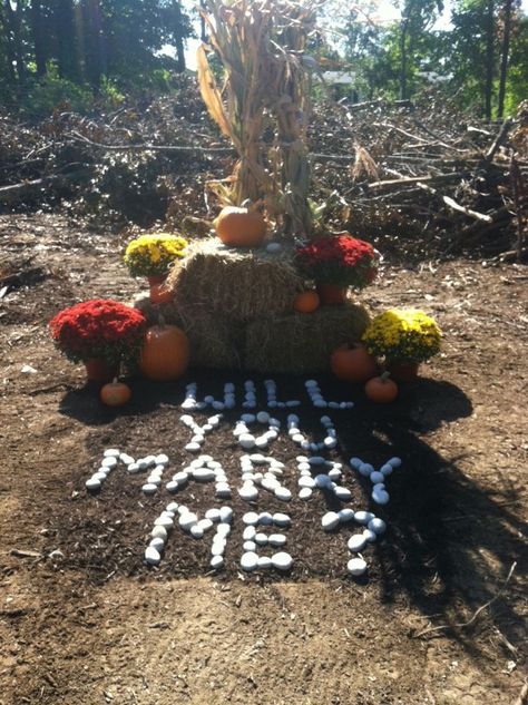 Fall proposal done at my sisters house lot Halloween Proposal Engagement, Halloween Wedding Proposal Ideas, Country Wedding Proposals, Pumpkin Patch Proposal Ideas, Fall Proposal Ideas Engagement, Halloween Proposal Ideas, Proposal Ideas With Kids, Perposal Ideas, Fall Proposal Ideas