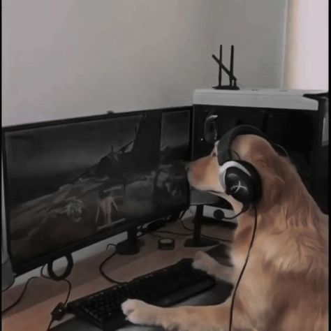 dark aesthetic inspo dog gamer Gamer Dark Aesthetic, Dark Bf Aesthetic, Dog On Computer, Gaming Playlist Cover, Gamer Friends Aesthetic, Player Boy Aesthetic, Gamer Core Aesthetic, Gamer Vibes Aesthetic, Grunge Gamer Aesthetic