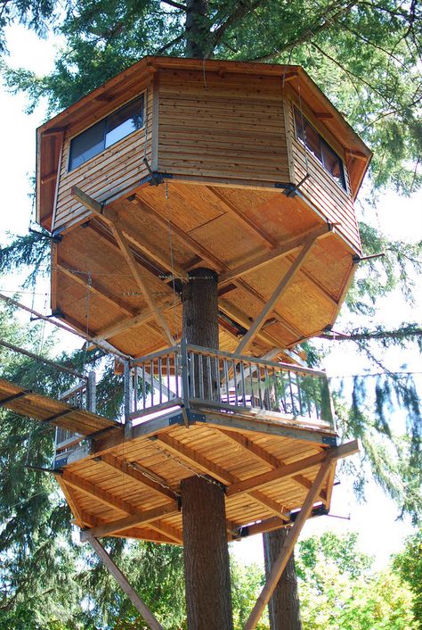 Treehouse Design, Beautiful Tree Houses, Treehouse Hotel, Tree House Plans, Tree Fort, Tree House Diy, Architecture Classic, Cool Tree Houses, Tree House Designs