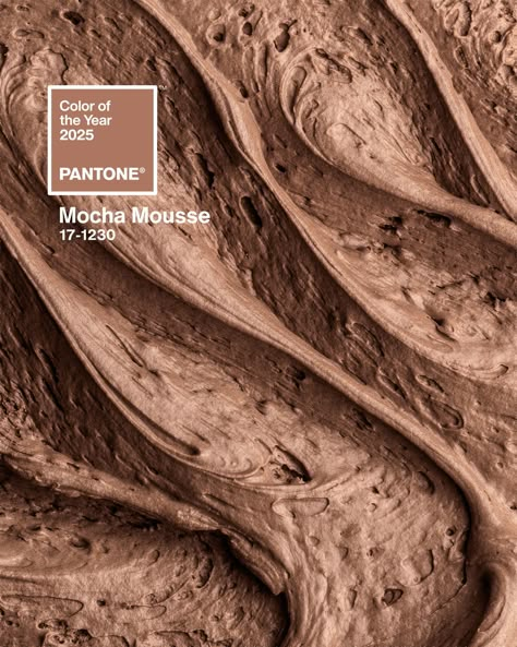 Pantone Color of the Year 2025: PANTONE Mocha Mousse Mocha Mouse, Interior Design Colors, Brown Paint Colors, Pantone Colours, Trend 2025, Color Pantone, Mocha Mousse, Loft Studio, 2025 Trends