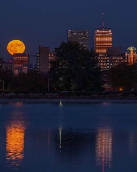 Boston Skyline Wallpaper, Boston Halloween Aesthetic, Boston Halloween, Boston At Night, Boston Aesthetic, Vhs Aesthetic, Mac Wallpapers, Aesthetic Types, Dreamy Places