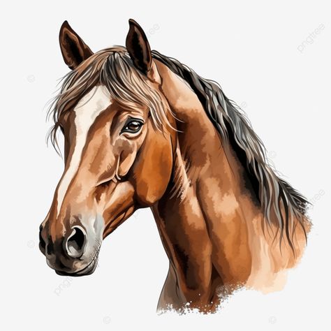 brown horse isolated illustration ai generative horse white isolated png Horse Illustration Art, Watercolours Art, Horse Mural, Rodeo Art, Horse Images, Abstract Horse Art, Cartoon Horse, Buckskin Horse, Horse Png