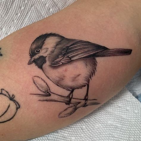 Titmouse Tattoo, Equinox Art, Titmouse Bird, Bird Tattoo, Birds Tattoo, Tattoo Inspo, Design Inspo, Art Tattoo, Tattoos