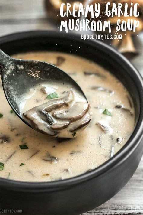 This rich and Creamy Garlic Mushroom Soup is perfect for fall with it's deep earthy flavors. Serve with crusty bread for dipping! Budgetbytes.com Garlic Mushroom Soup, Slow Cooker Soup Recipes Easy, Creamy Garlic Mushrooms, Creamy Mushroom Soup, Beef Soup Recipes, Vegetarian Soup Recipes, Mushroom Soup Recipes, Garlic Mushrooms, Soup Recipes Slow Cooker