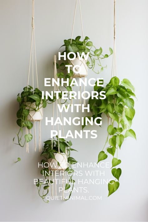 Follow our step-by-step guide to hanging plants in your home. Elevate your décor with thoughtfully placed greenery. #HangingPlants #HomeDecor #InteriorDesign #PlantStyling Ceiling Plants, Hang Plants From Ceiling, Hanging Plant Ideas, Hanging Indoor Plants, Hanging Plant Wall, Hanging Plants Indoor, Interior Design Guide, Bathroom Plants, Hanging Ceiling