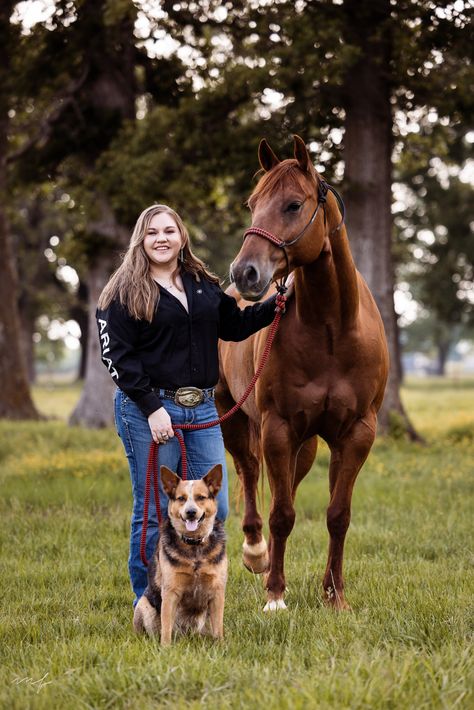 Mariah Farmer Photography, Equine Photography, Horse Photos, Photography, Dog Photo Horse And Me Photoshoot, Horse And Dog Senior Pictures, Horse And Dog Photography, Horse Show Photography, Beetle Photoshoot, Senior Horse Photography, Horse Portrait Photography, Horse And Rider Photography, Cool Senior Pictures