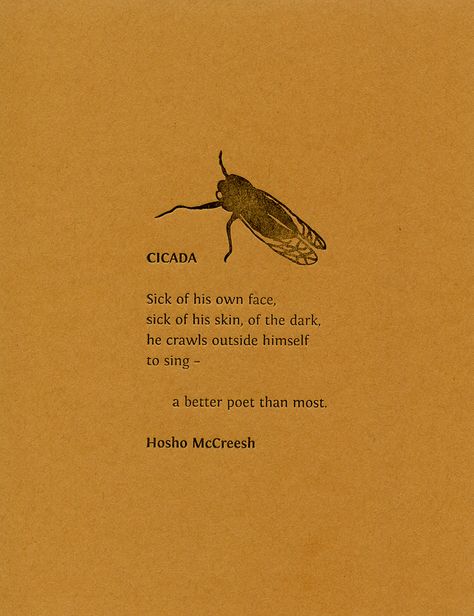 "CICADA" Guerilla Poetics Project Broadside by Hosho McCreesh Cicada Tattoo Meaning, Cicada Spiritual Meaning, Cicada Meaning, Cicada Symbolism, Cicada Poem, Cicada Art, Cicada Tattoo, Animal Poems, Monthly Quotes