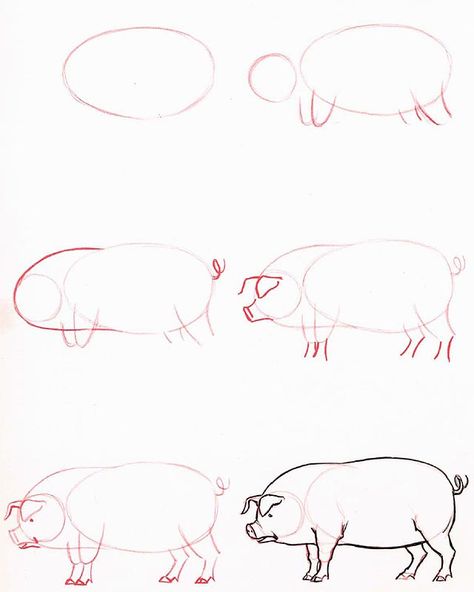 Learn to draw: Pig Pig Drawing, Pencil Art Drawings, Animal Sketches, Drawing Lessons, Illustration Inspiration, Pencil Art, Drawing Techniques, Art Drawings Sketches, Learn To Draw