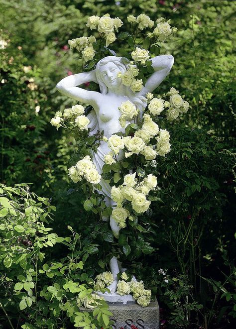 Dreamy Gardens, Greek Garden, Roman Garden, Statue Garden, Romantic Era, Nordland, Garden Rose, Stone Statues, White Garden