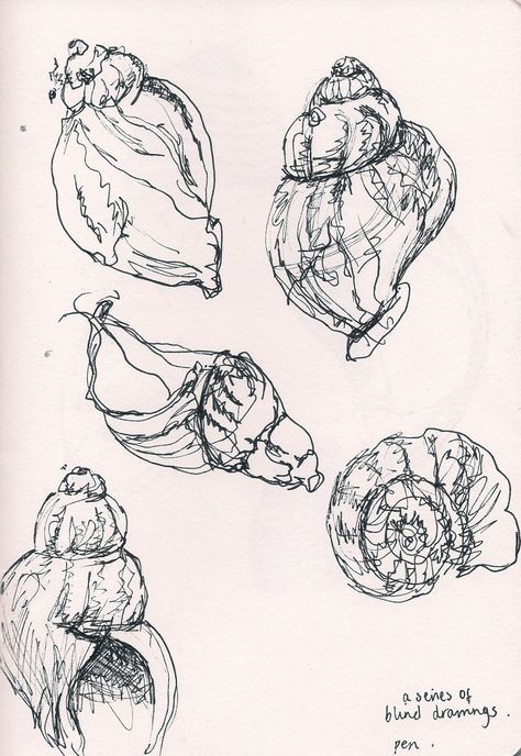 beautiful fine line pen drawings of shells by my friend @Alice Cartee Cartee Cartee Cartee Cartee Du Port Shell Drawing, Natural Form Art, Art Coquillage, Observational Drawing, Posca Art, Pen Drawings, Contour Drawing, Natural Form, Continuous Line