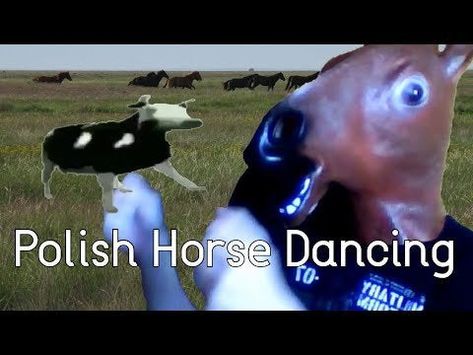 Guy in horse mask dancing to Polish Cow song #funny #lol #laugh #ridiculous #prank Check more at https://oddlygreat.net/guy-in-horse-mask-dancing-to-polish-cow-song/ Horse Dance, Horse Mask, Mask Dance, Funny Lol, Dancing, Cow, Horses, Mask, Songs