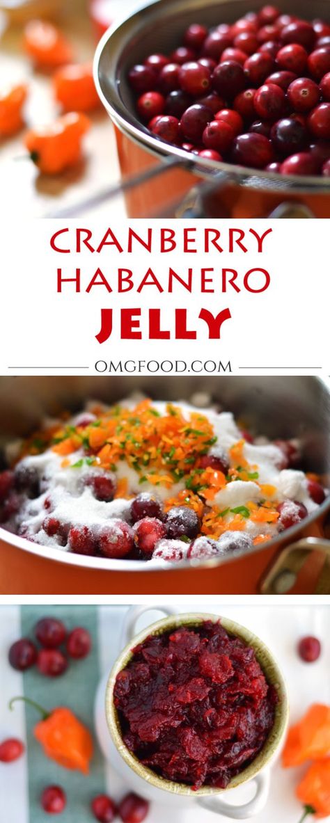 Cranberry Habanero Jelly - A spicy jelly that could be used on crackers, toast, or as a tasty food topping. | omgfood.com Spicy Jelly, Habanero Recipes, Habanero Jelly, Cranberry Jelly, Homemade Jelly, Pepper Jelly, Hot Sauces, Jam And Jelly, Cooking Club