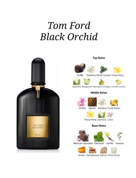 Black Orchid Tom Ford, Perfume Ingredients, Perfume Blends, Perfume Notes, Tom Ford Black Orchid, Fragrance Lab, Best Perfume For Men, Perfume Recipes, Luxury Perfumes