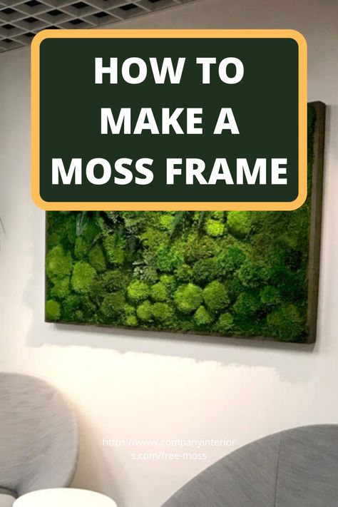 In This Video you will learn how to make a moss frame using preserved moss. The Moss used in Ball Moss , Flat Moss and Lichen. The Moss wall requires no maintenance whatsoever. Sustainable sources provide the moss and reindeer moss is a popular product from Scandinavian moss sources.  So you can create your own moss wall and install in your office or home. Interior Designers like to specify moss walls as they create a eco-friendly style to their interior home décor.  #mossframes #mosspicture Real Moss Decor, Making A Moss Wall, Framed Living Wall, Moss Wall Frame, Scandinavian Moss Bathroom, Moss Frames Decor, Hanging Moss Decor, Dried Moss Wall Art, Reindeer Moss Ideas