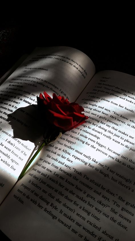 Dark Rose Photography, Roses And Books Aesthetic, Book And Rose Aesthetic, Dark Rose Wallpaper Aesthetic, Dark Rose Aesthetic Wallpaper, Rose Flower Aesthetic Dark, Dark Red Aesthetic Wallpaper Iphone, Red Roses Wallpaper Aesthetic, Love Core Wallpaper