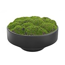 Moss Bowl Centerpiece, Moss Bowl, Handmade Ceramic Bowl, Bowl Centerpiece, Centerpiece Bowl, Ceramic Bowl, Office Home, Handmade Ceramic, Room Office