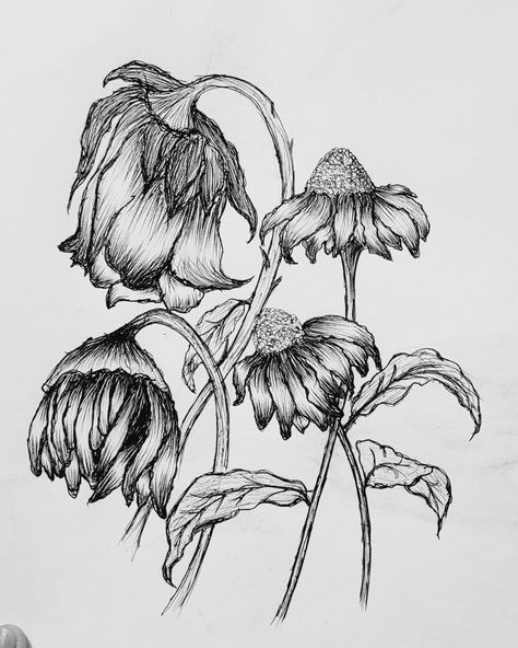 Decaying Flowers Drawing, Withered Flowers Drawing, Skeleton Flower Drawing, Withering Flower Drawing, Droopy Flowers Drawing, Falling Flowers Drawing, Wilted Flowers Tattoo, Wilting Flowers Drawing, Flower Blooming Drawing