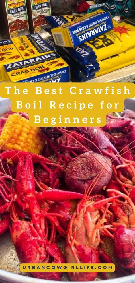 Take the stress out of cooking with a simplified guide to the perfect crawfish boil, designed for beginners who want to enjoy delicious backyard gatherings.| crawfish boil, crawfish, seafood boil party, crawfish recipes, best crawfish boil recipe, crawfish boil party ideas| Frozen Crawfish Boil, Best Crawfish Boil Recipe, Crawfish Boil Party Ideas, Crawdad Boil, Louisiana Crawfish Boil Recipe, How To Boil Crawfish, Crawfish Recipe, Family Spending Time Together, Crawfish Dip