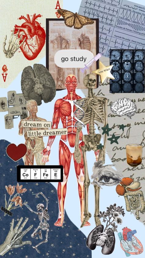 Wallpapers Aesthetic Heart, Radiography Student, Vintage Medical Art, Nursing Wallpaper, Go Study, Students Life, Aesthetic Heart, Medical School Life, Nursing School Motivation