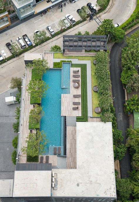 Roof Pool, Green Roof Garden, Landscape And Urbanism Architecture, Swimming Pool Landscaping, Pool Landscape Design, Landscape And Urbanism, Backyard Pool Designs, Rooftop Pool, Rooftop Garden