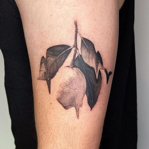 Lemon Stamp Tattoo, Lemon Lime Tattoo, Lemon Tree Tattoo Black And White, Lemon Tattoo Black And White, Lemon Tree Tattoo, Lemon Tattoo, Thank You So Much, Tattoo Shop, First Tattoo