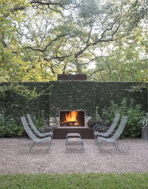 Creeping Fig, Ficus pumila: “Tropical Ivy” Creeping Fig, Ficus Pumila, Gravel Patio, Outdoor Patio Designs, Garden Vines, Dry Creek, Backyard Patio Designs, Outdoor Fire, Outdoor Fireplace