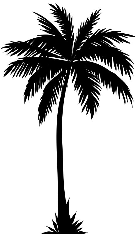 Palmera Tree Vector Png, Palm Tree Clip Art, Tree Tattoo Back, Palm Tree Drawing, Palm Tree Vector, Realistic Temporary Tattoos, Palm Tattoos, Palm Tree Silhouette, Palm Tree Art