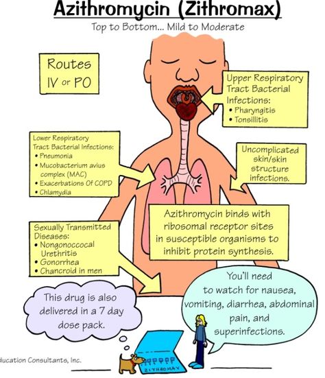 Azithromycin Pharmacology Mnemonics, Np School, Nursing Information, Nursing Mnemonics, Pharmacy School, Pharmacology Nursing, Nursing School Survival, Nursing School Studying, Nursing School Tips