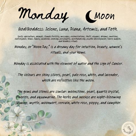 Happy Moonday! May it be a kind one to you today! #correspondence #symbolism #monday #moon #witch #wiccan #pagan #witchcraft Digital Grimoire, Spiritual Vibes, Moon Day, Female Fertility, Witch Spirituality, Magic Spell Book, Grimoire Book, Moon Witch, Psychic Development