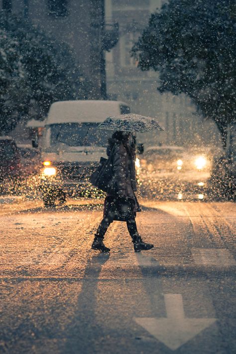 . I Love Snow, Winter Schnee, I Love Winter, Winter's Tale, Winter Love, Winter Magic, Snowdonia, Christmas Wonderland, Winter Beauty