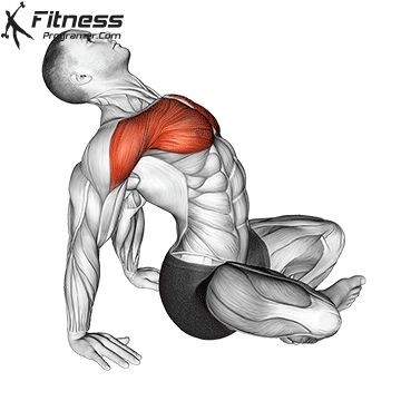 Chest Stretching Exercises, Body Weight Workout Plan, Chest Stretches, Cable Workout, Yoga Facts, Best Chest Workout, Yoga Poses Advanced, Gym Workouts For Men, Workout Planner