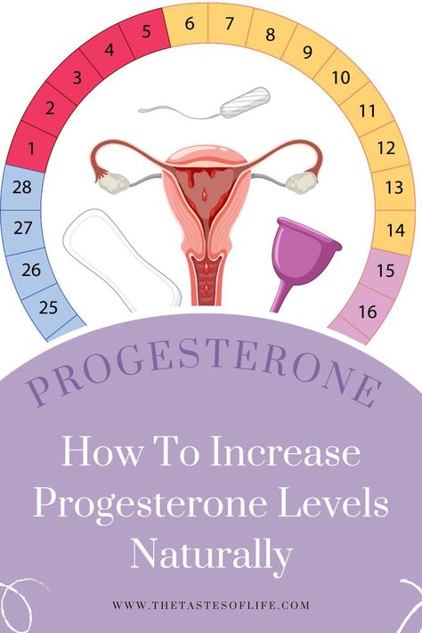 How To Increase Progesterone Levels Naturally Hormonal Balance Diet, Increase Progesterone Naturally, Estrogen Dominance Diet, Hormone Balancing Essential Oils, Hormone Balancing Tea, Estrogen Dominance Symptoms, Hormone Balancing Smoothie, Increase Progesterone, Balance Diet